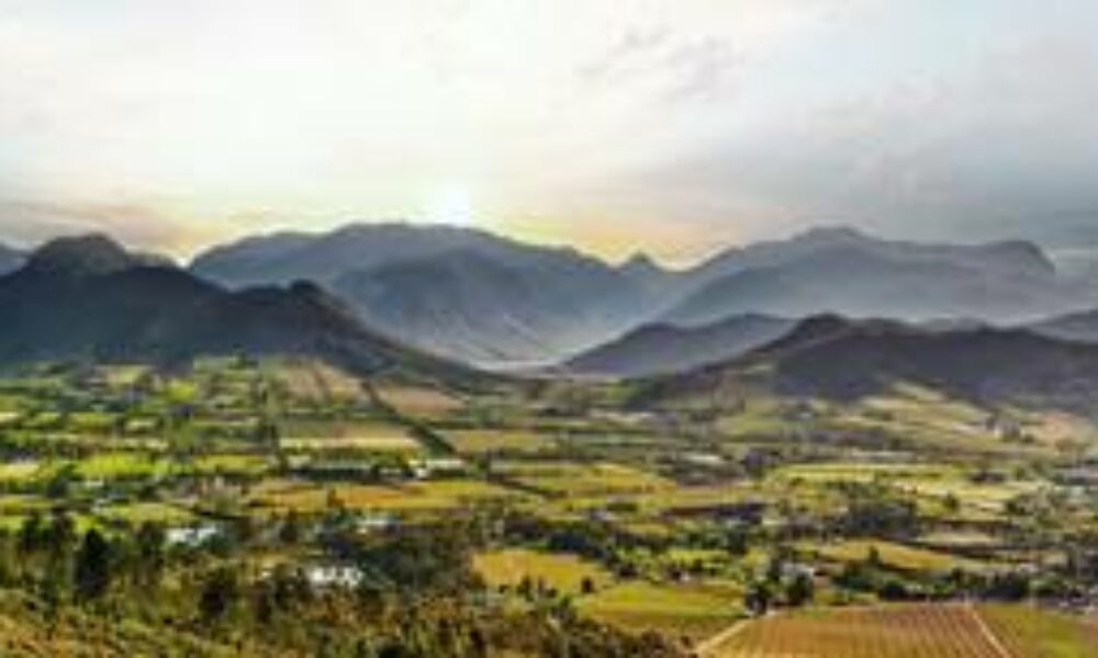 SOUTH AFRICAN WINE INDUSTRY WELCOMES THE WORLD AT CONCOURS MONDIAL DU SAUVIGNON