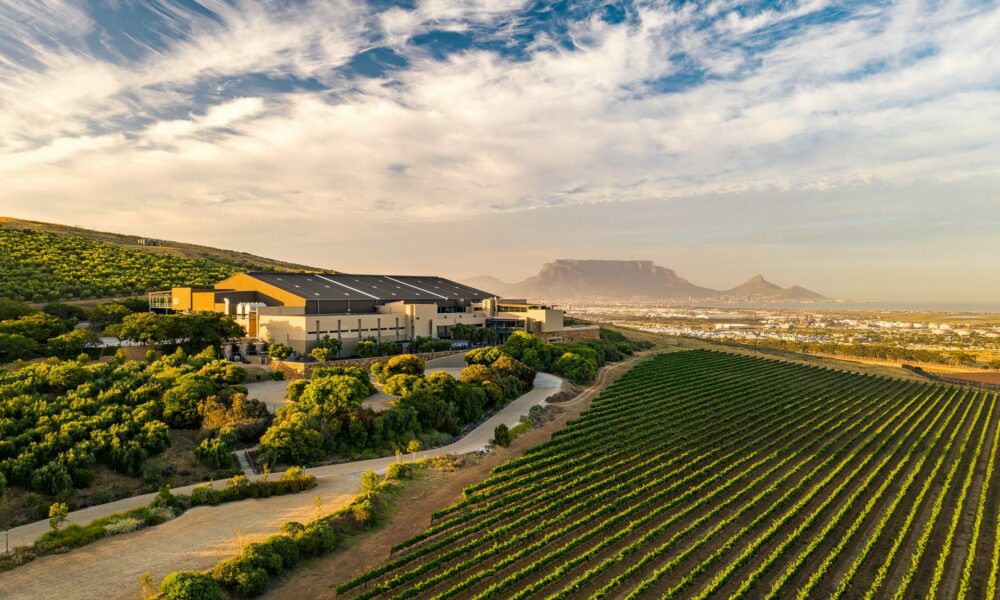 Durbanville Hills welcomes back a light-hearted treat for winter: their popular hot chocolate and wine tasting!