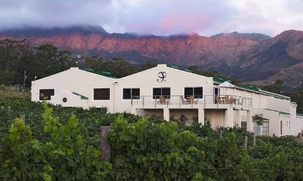 Journey’s End Vineyards x interpunkt launch wine range in sustainable paperboard bottles a first in South Africa